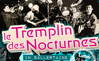 Affiche A2 - Tremplin des Nocturnes 2013 / Ile aux Artisans
