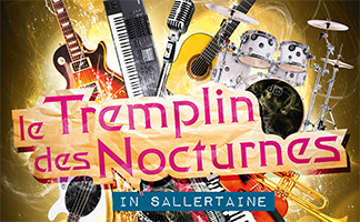 Affiche A2 - Tremplin des Nocturnes 2014 / Ile aux Artisans